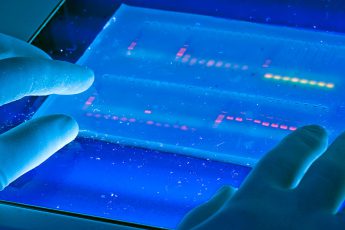 DNA per un marketing più preciso